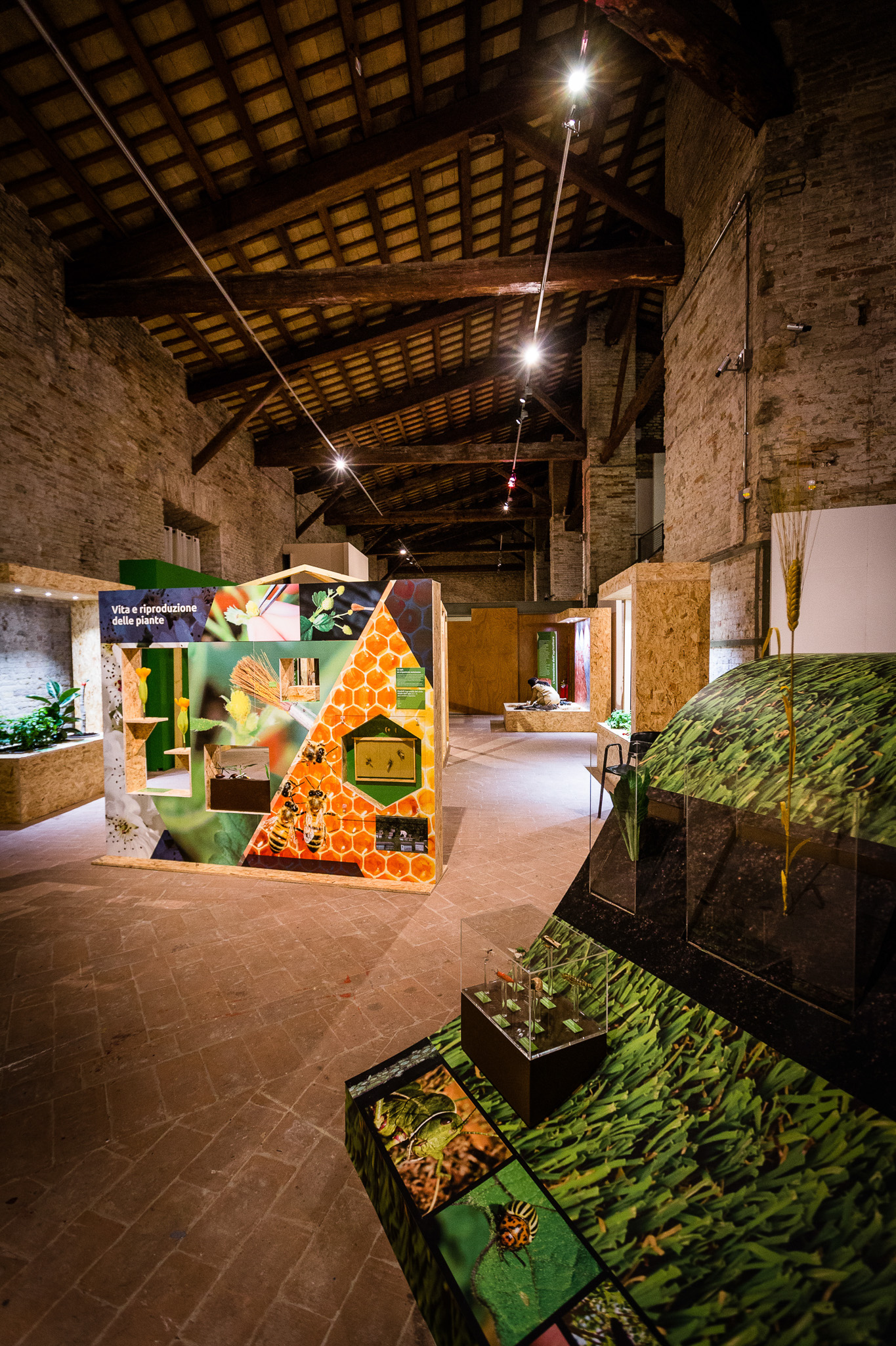 La Sapienza_Ancona_Nutrire la salute