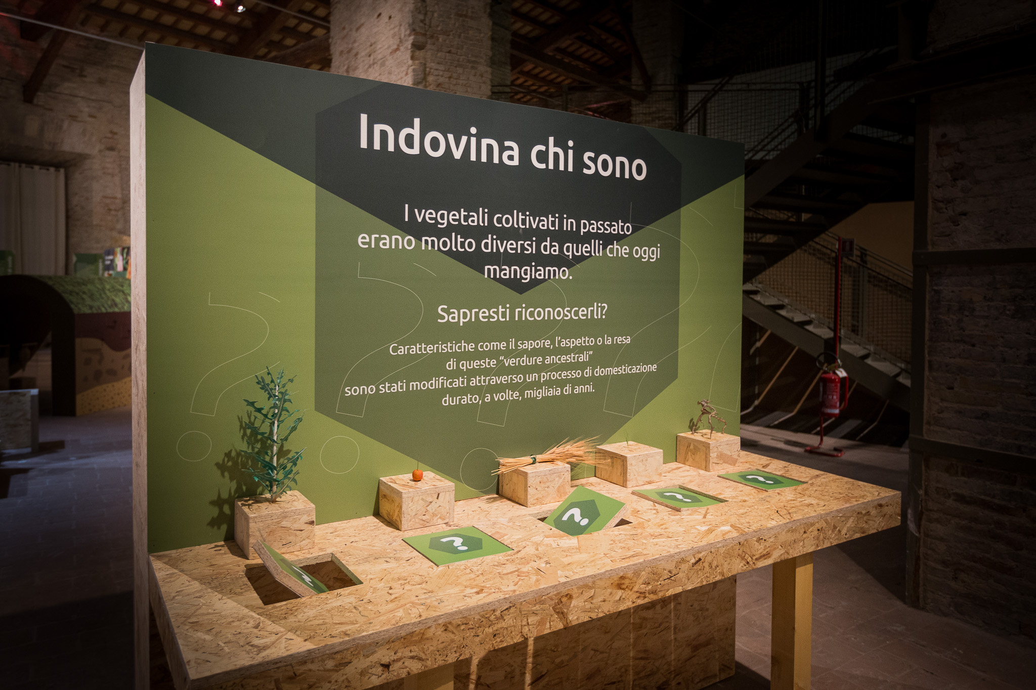 La Sapienza_Ancona_Nutrire la salute