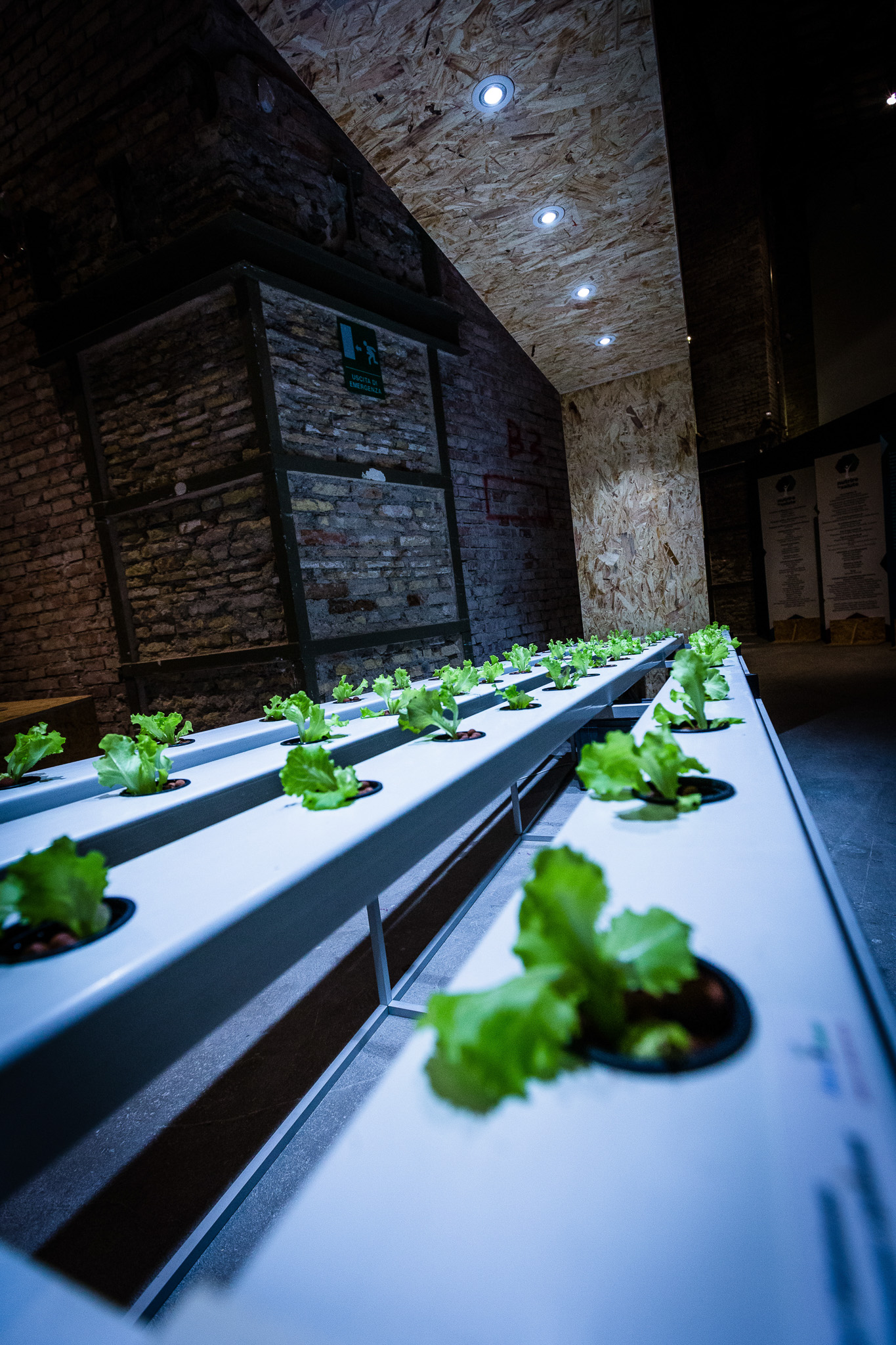 La Sapienza_Ancona_Nutrire la salute