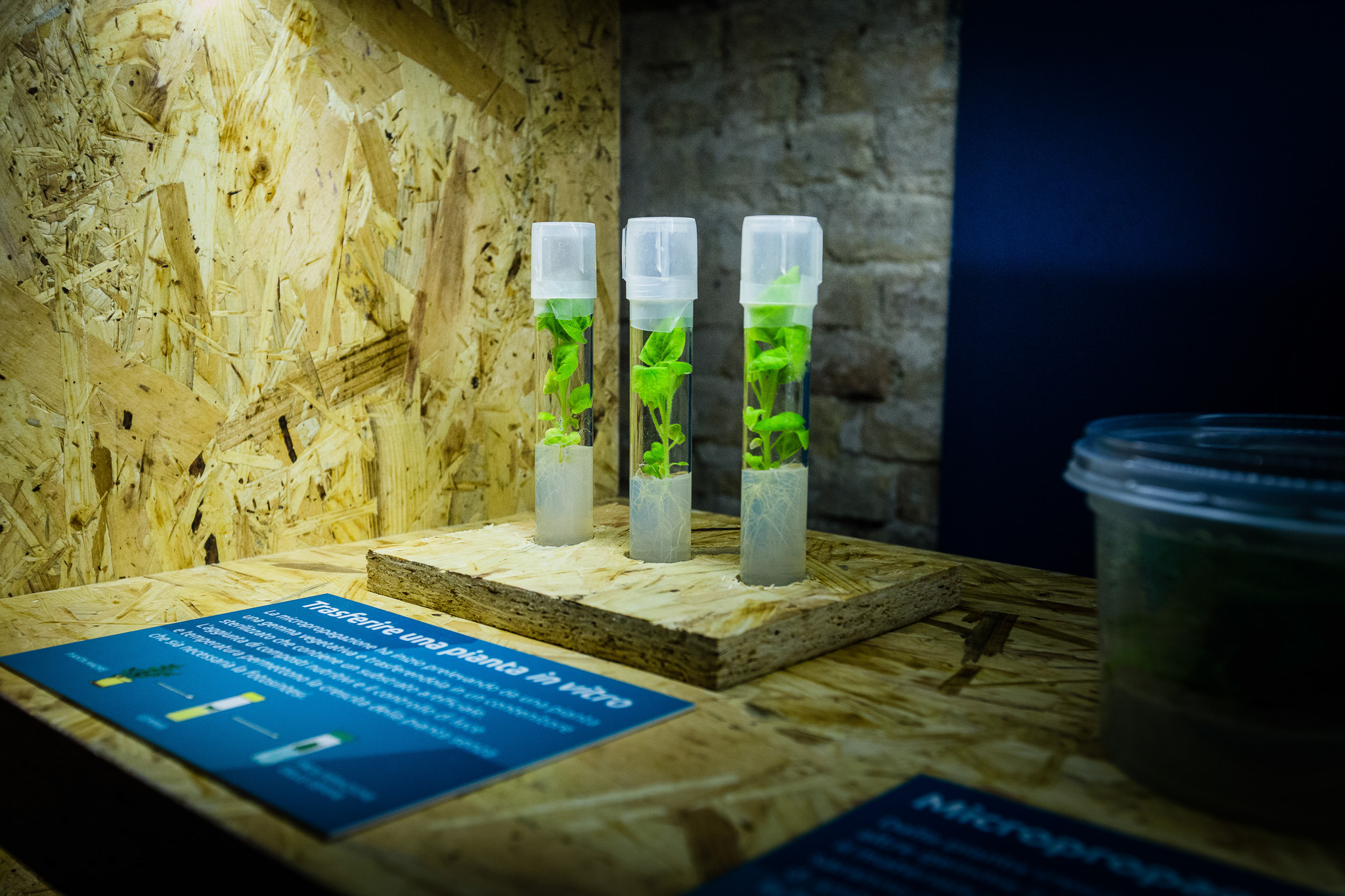 La Sapienza_Ancona_Nutrire la salute